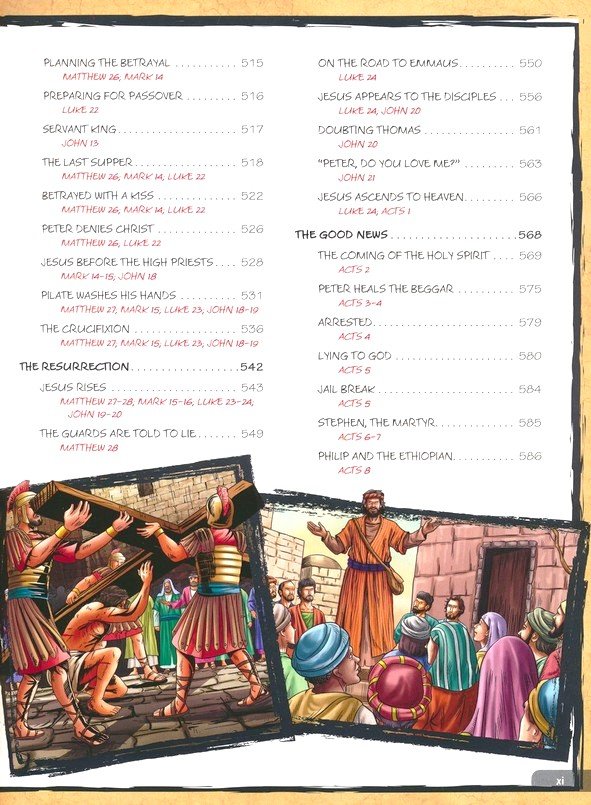 Bibleforce, Flexcover Paperback – Illustrated