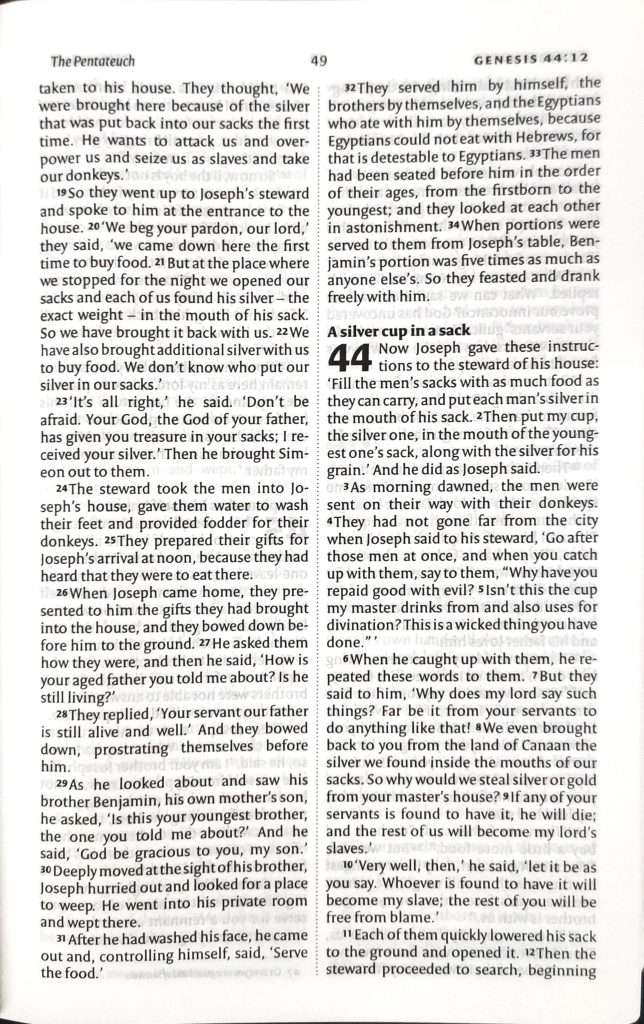 Holy Bible NIV Slimline Red Letter Edition | New International Version Study Bible | Compact Daily Reading Scripture Book | Premium Bound Christian Prayer & Worship Book By BSI (Hardcover, Bible Society of India) | Multi Color option