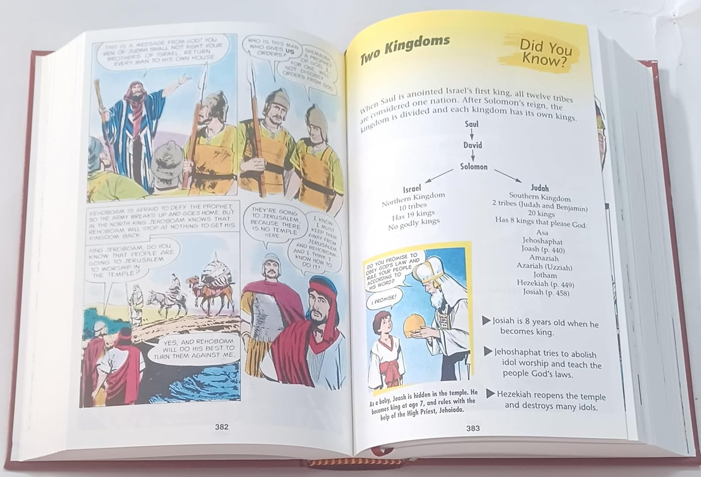 THE PICTURE BIBLE-ENGLISH [Hardcover]